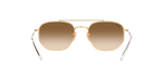 001/51 - Arista Gold / Brown