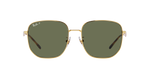 001/9A - Arista Gold / Dark Green Polarized