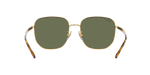 001/9A - Arista Gold / Dark Green Polarized