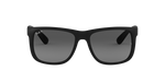 622/T3 - Rubber Black / Grey Polarized