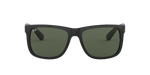 601/71 - Black / Dark Green