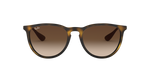 865/13 - Havana / Brown Gradient
