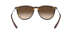 865/13 - Havana / Brown Gradient