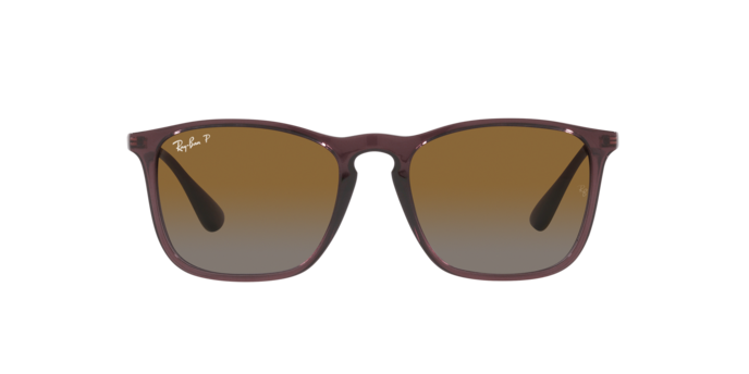 6593T5 - Transparent Brown / Brown Polarized