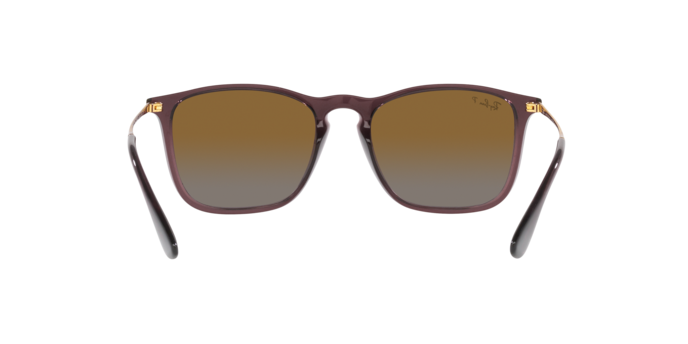 6593T5 - Transparent Brown / Brown Polarized