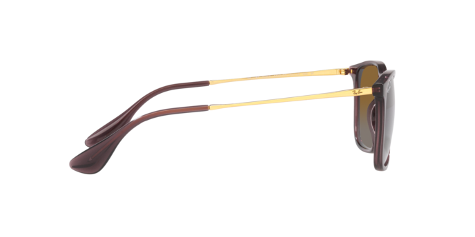 6593T5 - Transparent Brown / Brown Polarized