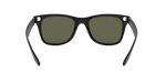 601S9A - Black / G-15 Green Polarized
