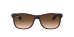 607313 - Brown / Brown Gradient