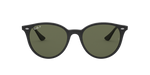 601/9A - Black / G-15 Green Polarized