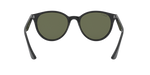 601/9A - Black / G-15 Green Polarized