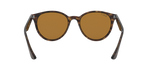 710/83 - Light Havana / Brown Polarized