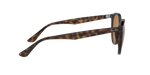 710/83 - Light Havana / Brown Polarized