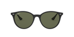 601/9A - Black / G-15 Green Polarized