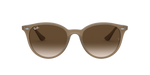 616613 - Beige / Brown Gradient