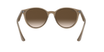 616613 - Beige / Brown Gradient