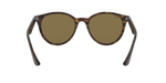 710/73 - Light Havana / Dark Brown