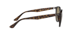 710/73 - Light Havana / Dark Brown