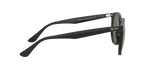 601/9A - Black / G-15 Green Polarized