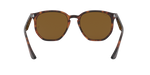 710/83 - Light Havana / Brown Polarized