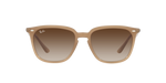 616613 - Light Brown / Brown