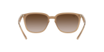 616613 - Light Brown / Brown