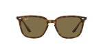 710/73 - Havana / Dark Brown