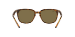 710/73 - Havana / Dark Brown