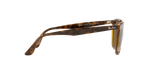 710/73 - Havana / Dark Brown