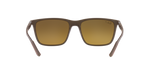 6124A3 - Brown / Gold & Brown Polarized+
