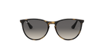 704911 - Havana / Solid Color