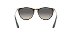 704911 - Havana / Solid Color