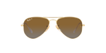 223/T5 - Arista Gold / Brown Polarized