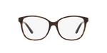 5003 - Shiny Dark Havana / Demo Lens