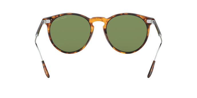 52494E - Shiny Antique Havana / Green