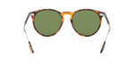 52494E - Shiny Antique Havana / Green