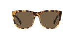 500473 - Havana / Brown