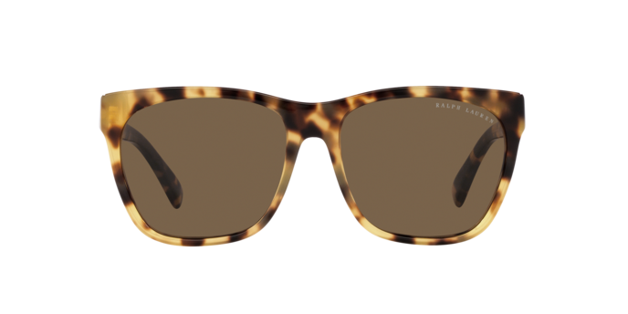 500473 - Havana / Brown