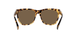500473 - Havana / Brown