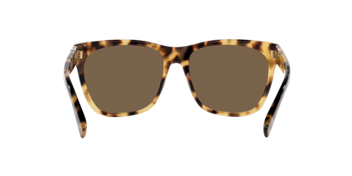 500473 - Havana / Brown