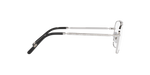 2501 - Silver / Clear