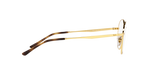 2500 - Arista Gold / Clear