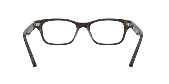 2012 - Dark Havana / Demo Lens