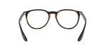 5365 - Havana / Clear