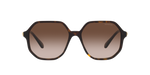 100213 - Havana / Brown Gradient