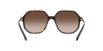 100213 - Havana / Brown Gradient