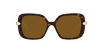 100283 - Havana / Polarized Brown