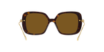 100283 - Havana / Polarized Brown