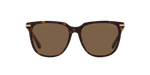 100273 - Dark Havana / Brown