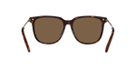 100273 - Dark Havana / Brown