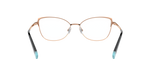 6007 - Black / Demo Lens